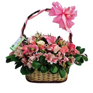 CRUCES PARA DEFUNCIÓN