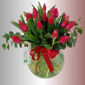 Tulipan-2
