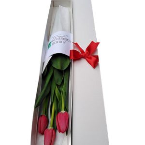 Caja de Tulipanes 1- Caja de 3 Tulipanes