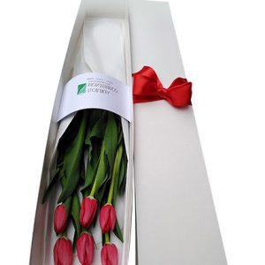 Tulipanes 2- Caja de 6 Tulipanes