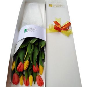 Tulipanes 4 - Caja de 10 Tulipanes