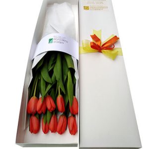 Tulipanes 5 - caja de 10 Tulipanes
