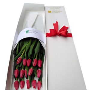 Tulipanes 7- Caja de 20 Tulipanes