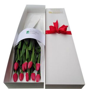 Tulipanes 8 -Caja de 10 Tulipanes
