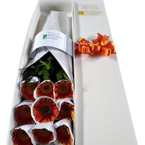 Caja de Gerberas 9