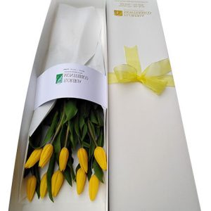 Tulipanes 6- Caja de 10 Tulipanes