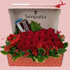 Amor-20